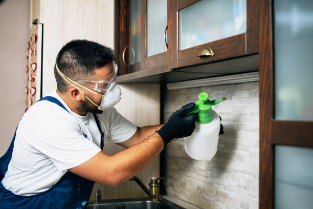 Best Pest Inspection Near Me  in Portola, CA