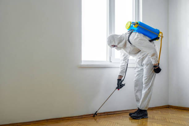 Best Mosquito Control Services  in Portola, CA
