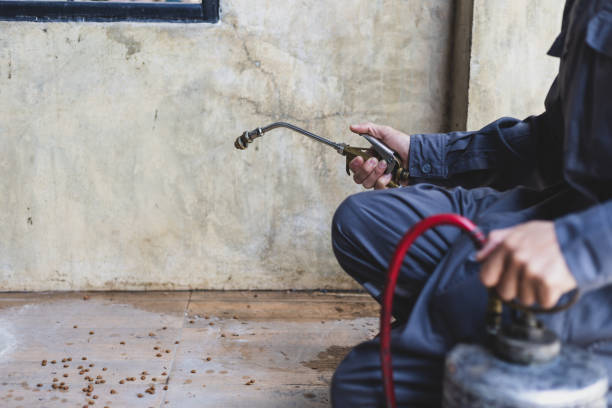 Best Pest Control for Businesses  in Portola, CA